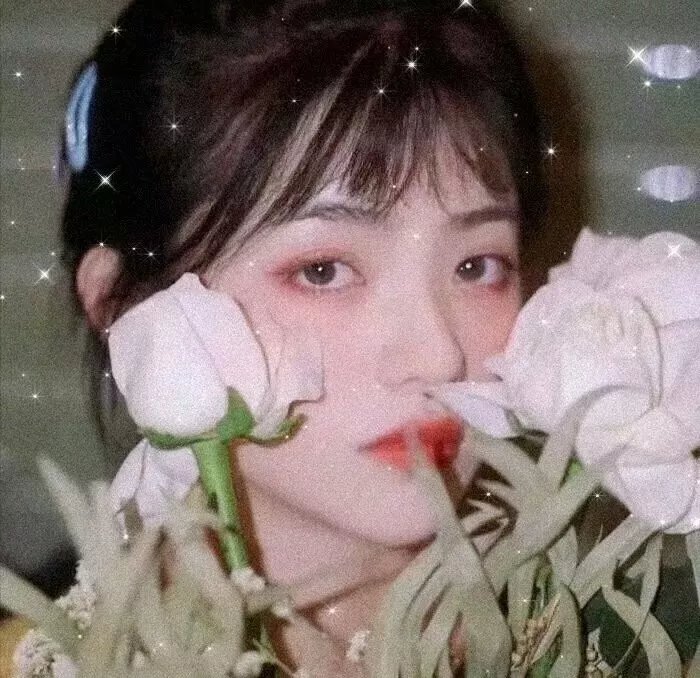美丽萝赛塔